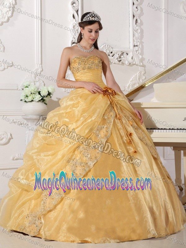 Gold Strapless Long Quinces Dresses with Embroidery and Flower in Lisle