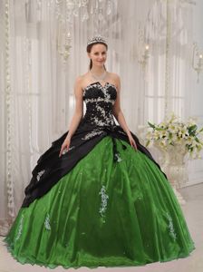 Green And Black Quinceanera Dresses 2023 for Less