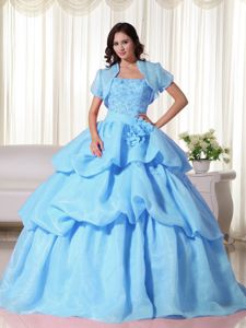 Baby Blue Strapless Organza Hand Flowery Quinceanera Gown Dress in Denton