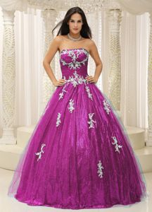 Elegant Strapless Fuchsia Long Quinceanera Gowns with Appliques in Addison
