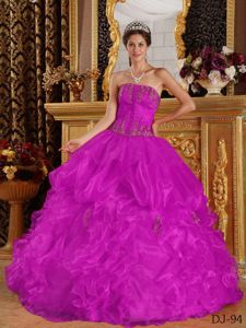 Brand New Appliqued Fuchsia Quinceanera Gown in Organza with Pick-ups
