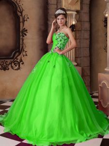 Green Sweetheart Organza Quinceanera Dresses with Beading in Spokane