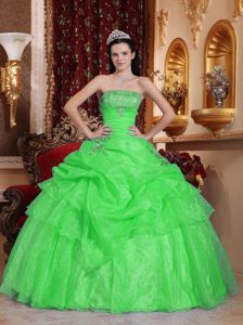 Spring Green Strapless Organza Quinceanera Dress with Beading in Kirkland