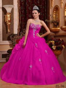 Fuchsia Sweetheart Organza Quinceanera Dress with Appliques in Alexandria