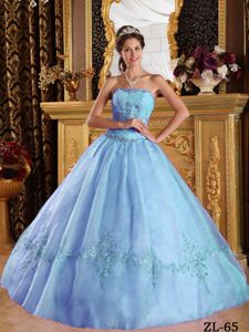 Lovely Baby Blue Strapless Long Quince Dresses with Embroidery in Troy