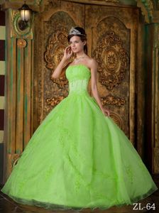 Yellow Green Strapless Full-length Sweet 16 Dress with Appliques in Troy
