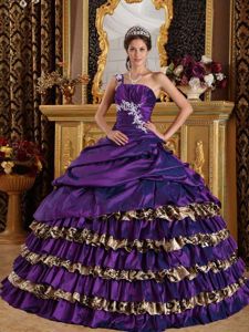 Ruffled One Shoulder Purple Quinceanera Dresses with Appliques in Beloit