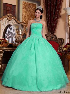 Showy Strapless Appliqued Quince Dresses in Apple Green under 200