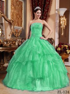 Apple Green Strapless Organza Beading Quinceanera Gown Dress in Fargo