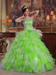 Spring Green Strapless Appliqued Quinceanera Dress in Organza in Baracoa