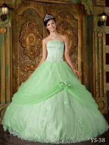 Apple Green Flower Decorated Apple Green Quinceanera Gown for Woman