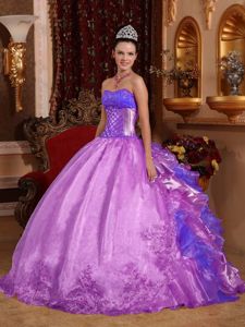 Classical Purple Strapless Organza Embroidery Quinceanera Dress in Norfolk VI