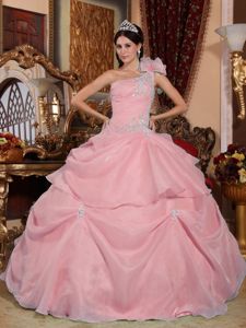 Pink One Shoulder Organza Appliques Quinceanera Dress in Escalante UT