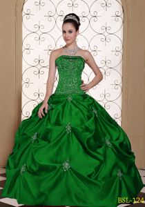 Embroidered Strapless Modest Quinceanera Dress with Pick-ups in Appleton