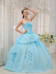 Light Blue Sweetheart Organza Quinceanera Dress with Appliques in Herndon