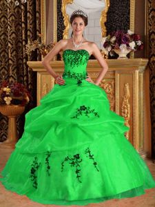 Elegant Green Sweetheart Embroidered Quinceanera Dresses in Columbus