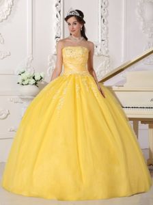Strapless Gold Tulle Sweet formal Sweet 15 Dress with Appliques in Evergreen