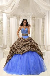 Leopard Colorful Sweetheart Long Quinces Dresses with Pick-ups in Elgin
