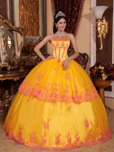 Yellow Strapless Organza Lace and Appliques Quinceanera Gowns in Reston VA
