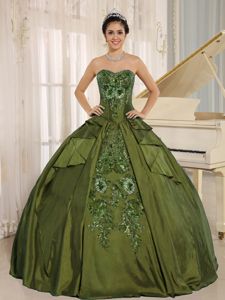 Embroidered Sweetheart Quinceanera Dress in Olive Green in Tocopilla
