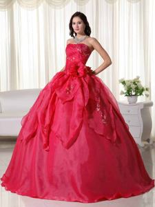 Red Strapless Organza Dresses For Quinceanera with Appliques in Ituzaingo