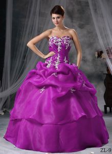 Sweetheart Organza Sweet 16 Dresses with Appliques in Tiquipaya Bolivia
