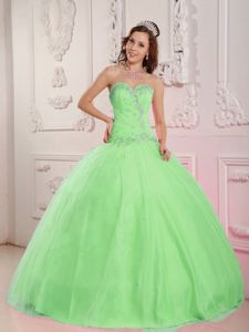 Spring Green Beaded Appliques Puffy Dress for Quince near Sedro-Woolley