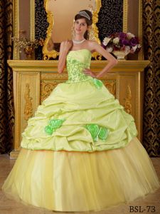 Yellow Green Pick Ups and Handle Flowers Sweet 16 Dresses in Vancouver