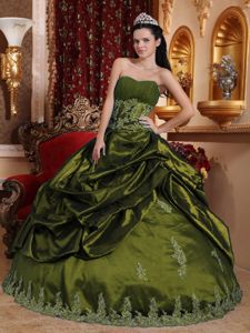 2014 Olive Green Sweetheart Taffeta Appliques Quinceanera Dress in Henderson