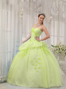 Yellow Green Ball Gown Sweetheart Organza Quinceanera Dress with Appliques