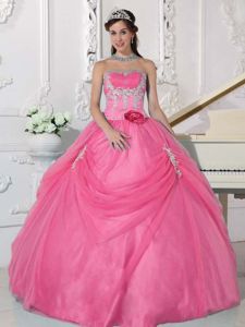 Pink Strapless Appliques and Hand Made Flower Quinceanera Dress in Warren