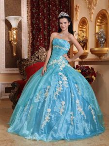 Ruched Light Blue Organza Appliques Quinceanera Dress in Maunabo
