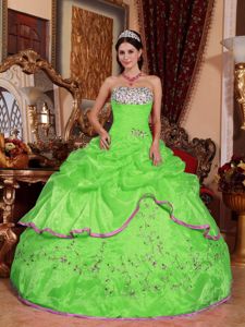 Appliques Strapless Sweet Sixteen Quinceanera Dresses in Spring Green