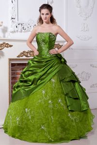 Olive Green Strapless Floor-length Embroidery Quinceanera Dress