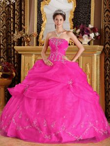 Hot Pink Organza Sweet 15 Dresses with Appliques in Burgebrach
