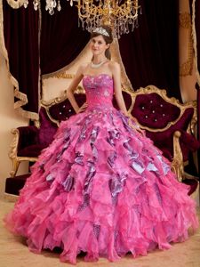 hot pink zebra quinceanera dresses
